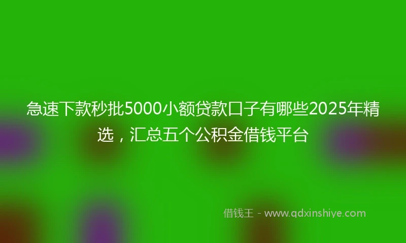 急速下款秒批5000小额贷款口子有哪些2025年精选，汇总五个公积金借钱平台