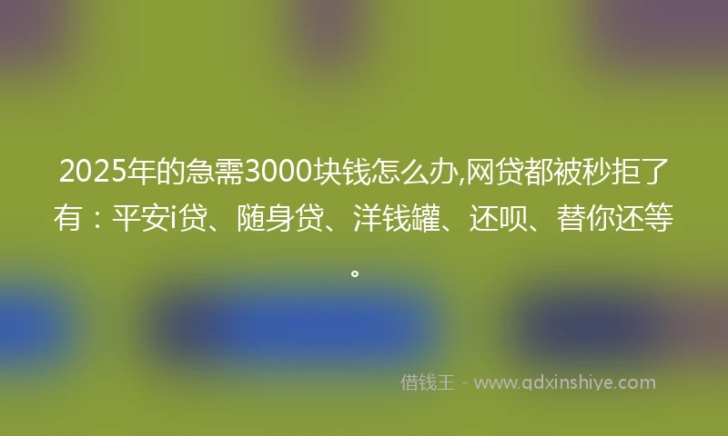2025年的急需3000块钱怎么办,网贷都被秒拒了有：平安i贷、随身贷、洋钱罐、还呗、替你还等。