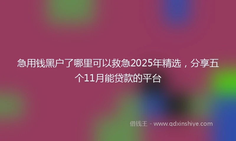 急用钱黑户了哪里可以救急2025年精选，分享五个11月能贷款的平台
