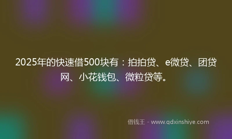 2025年的快速借500块有：拍拍贷、e微贷、团贷网、小花钱包、微粒贷等。