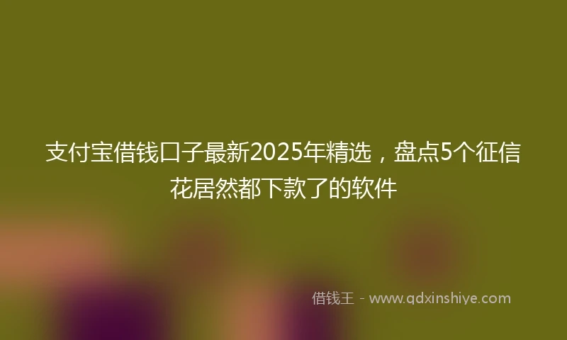 支付宝借钱口子最新2025年精选，盘点5个征信花居然都下款了的软件