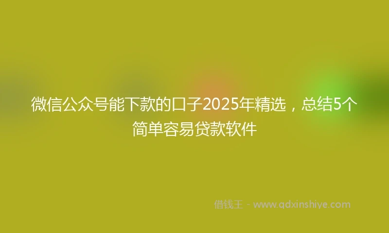 微信公众号能下款的口子2025年精选，总结5个简单容易贷款软件