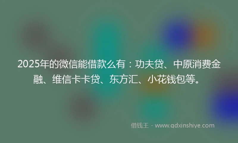 2025年的微信能借款么有：功夫贷、中原消费金融、维信卡卡贷、东方汇、小花钱包等。