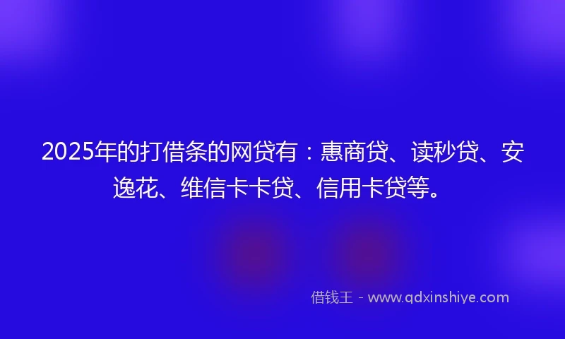 2025年的打借条的网贷有：惠商贷、读秒贷、安逸花、维信卡卡贷、信用卡贷等。