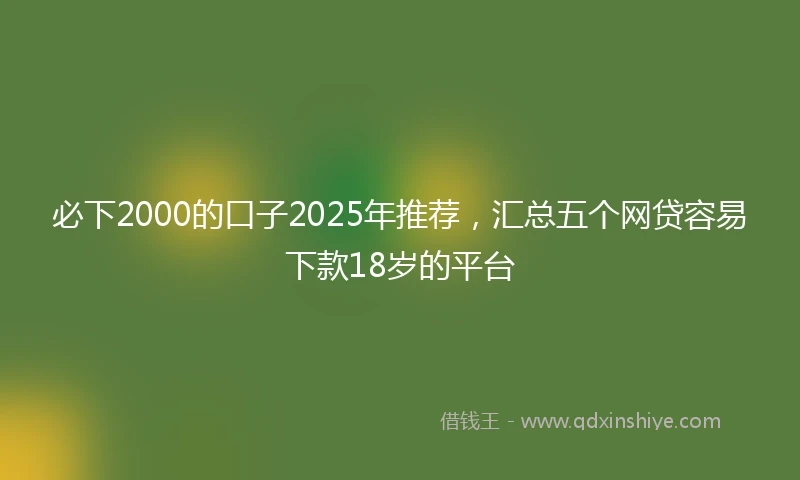必下2000的口子2025年推荐，汇总五个网贷容易下款18岁的平台