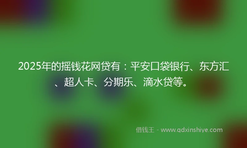 2025年的摇钱花网贷有:平安口袋银行、东方汇、超人卡、分期乐、滴水贷等。