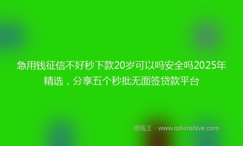 急用钱征信不好秒下款20岁可以吗安全吗2025年精选，分享五个秒批无面签贷款平台