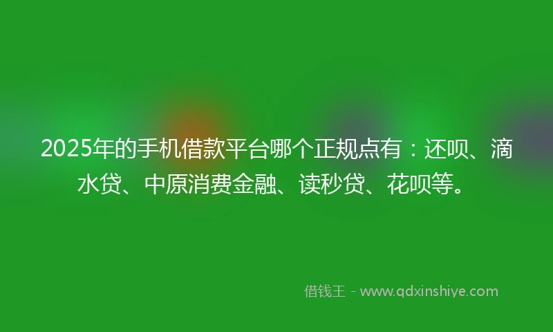 2025年的手机借款平台哪个正规点有：还呗、滴水贷、中原消费金融、读秒贷、花呗等。