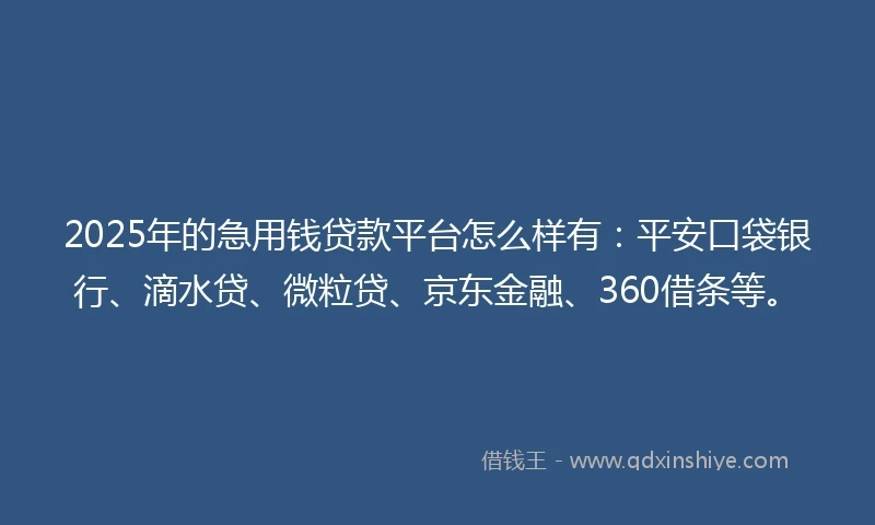 2025年的急用钱贷款平台怎么样有：平安口袋银行、滴水贷、微粒贷、京东金融、360借条等。