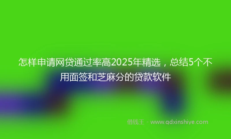 怎样申请网贷通过率高2025年精选，总结5个不用面签和芝麻分的贷款软件