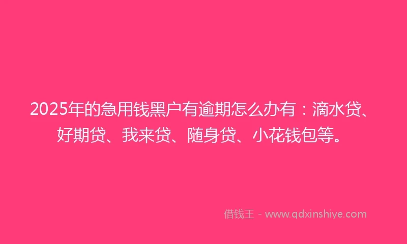 2025年的急用钱黑户有逾期怎么办有：滴水贷、好期贷、我来贷、随身贷、小花钱包等。