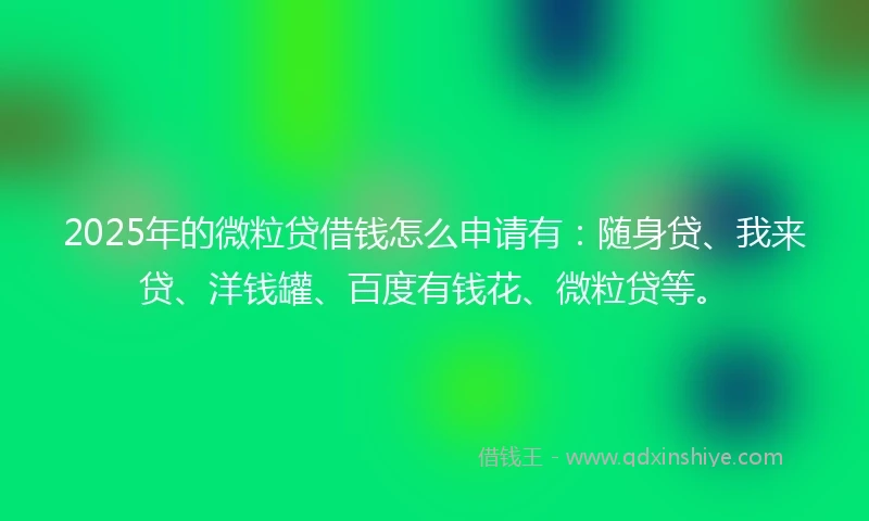 2025年的微粒贷借钱怎么申请有：随身贷、我来贷、洋钱罐、百度有钱花、微粒贷等。