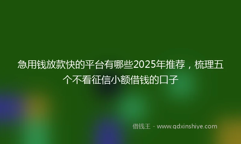 急用钱放款快的平台有哪些2025年推荐，梳理五个不看征信小额借钱的口子