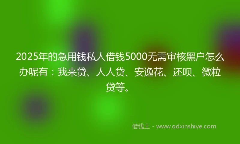 2025年的急用钱私人借钱5000无需审核黑户怎么办呢有：我来贷、人人贷、安逸花、还呗、微粒贷等。