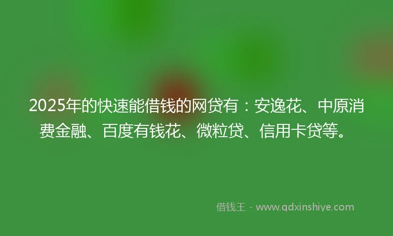 2025年的快速能借钱的网贷有：安逸花、中原消费金融、百度有钱花、微粒贷、信用卡贷等。