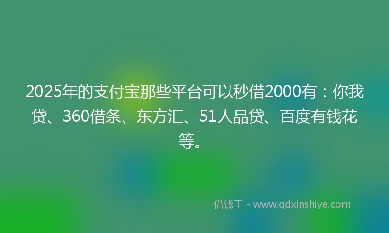 2025年的支付宝那些平台可以秒借2000有：你我贷、360借条、东方汇、51人品贷、百度有钱花等。