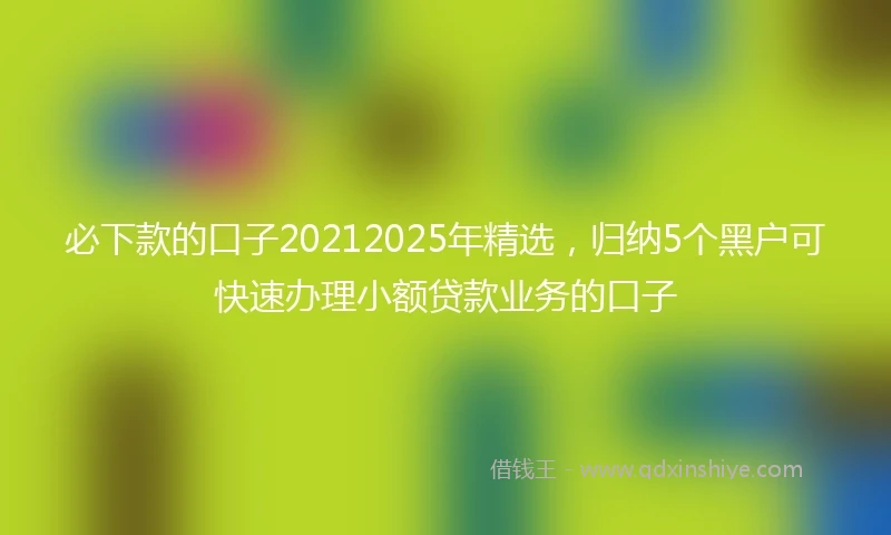 必下款的口子20212025年精选，归纳5个黑户可快速办理小额贷款业务的口子