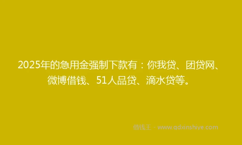 2025年的急用金强制下款有：你我贷、团贷网、微博借钱、51人品贷、滴水贷等。