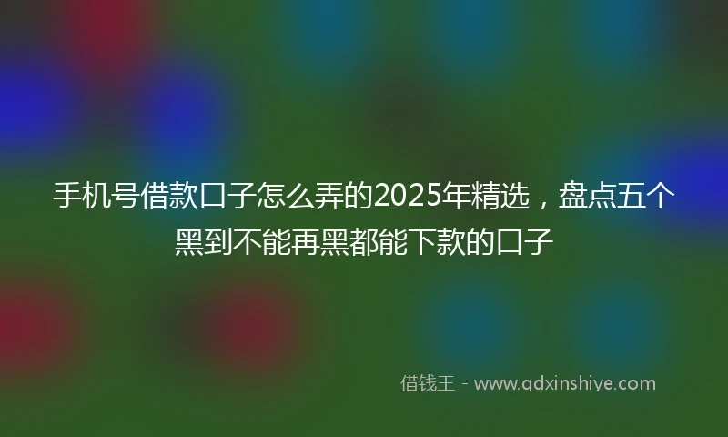 手机号借款口子怎么弄的2025年精选，盘点五个黑到不能再黑都能下款的口子