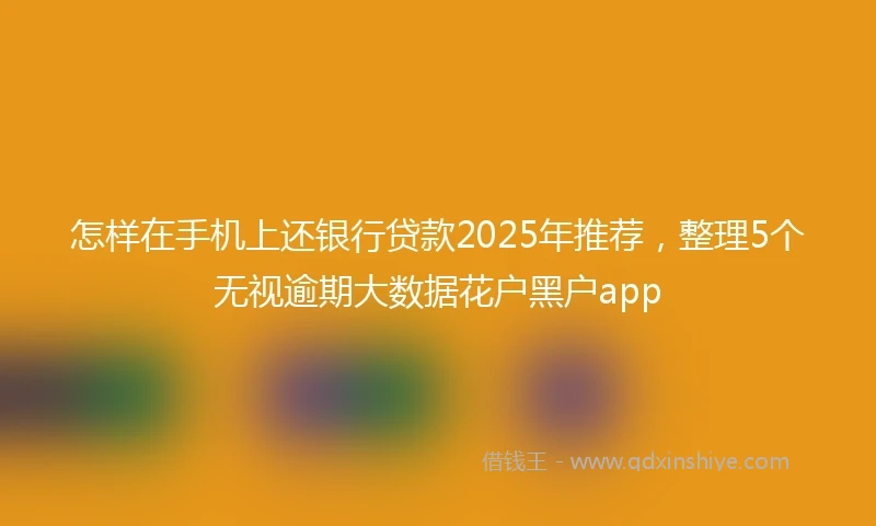 怎样在手机上还银行贷款2025年推荐，整理5个无视逾期大数据花户黑户app