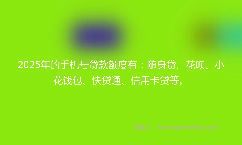 2025年的手机号贷款额度有：随身贷、花呗、小花钱包、快贷通、信用卡贷等。