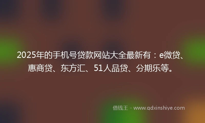 2025年的手机号贷款网站大全最新有：e微贷、惠商贷、东方汇、51人品贷、分期乐等。