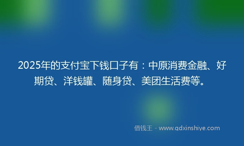 2025年的支付宝下钱口子有：中原消费金融、好期贷、洋钱罐、随身贷、美团生活费等。