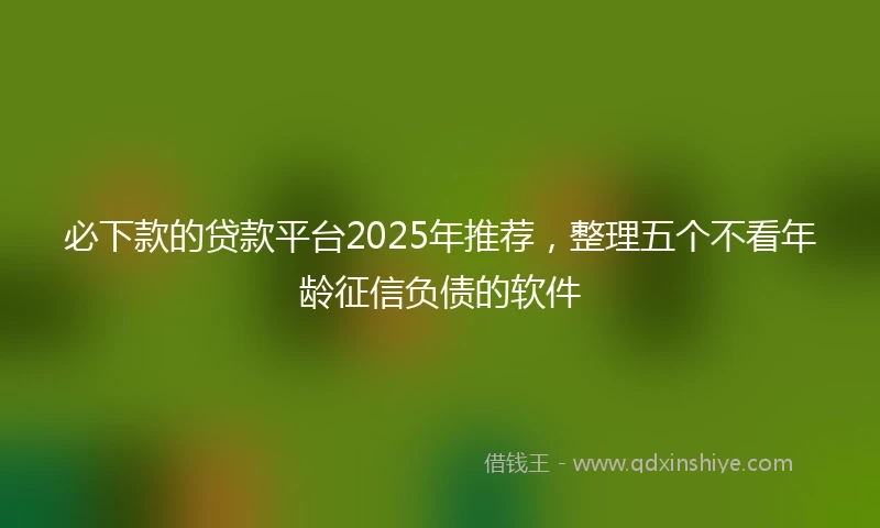 必下款的贷款平台2025年推荐，整理五个不看年龄征信负债的软件
