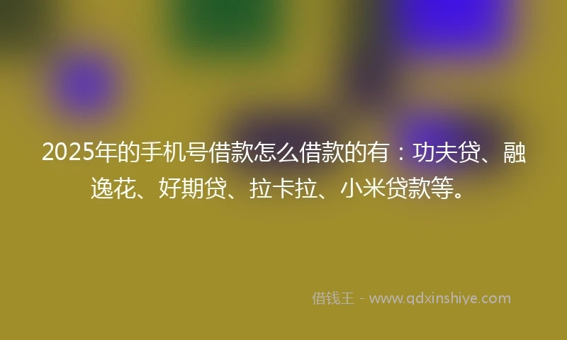 2025年的手机号借款怎么借款的有:功夫贷、融逸花、好期贷、拉卡拉、小米贷款等。