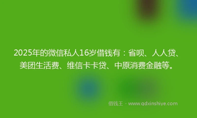 2025年的微信私人16岁借钱有：省呗、人人贷、美团生活费、维信卡卡贷、中原消费金融等。