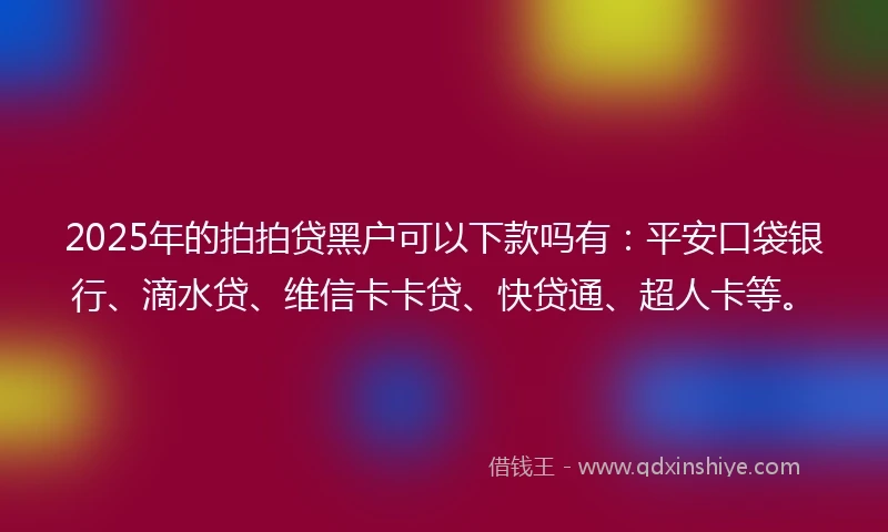 2025年的拍拍贷黑户可以下款吗有：平安口袋银行、滴水贷、维信卡卡贷、快贷通、超人卡等。