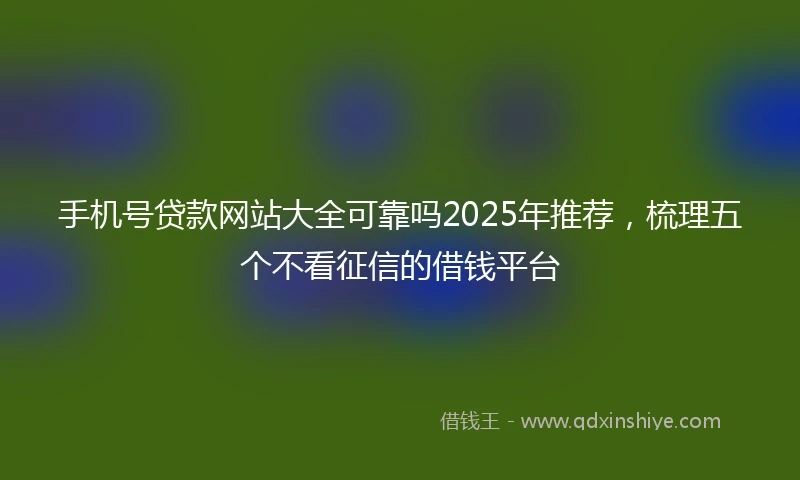 手机号贷款网站大全可靠吗2025年推荐，梳理五个不看征信的借钱平台