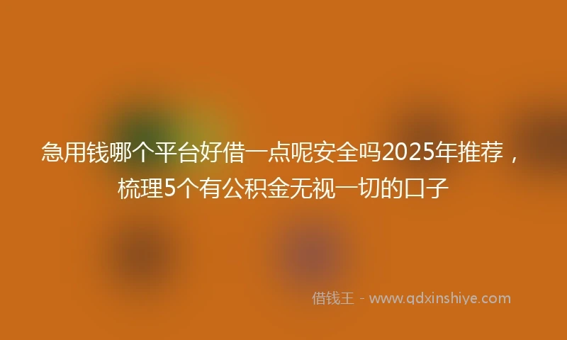 急用钱哪个平台好借一点呢安全吗2025年推荐，梳理5个有公积金无视一切的口子