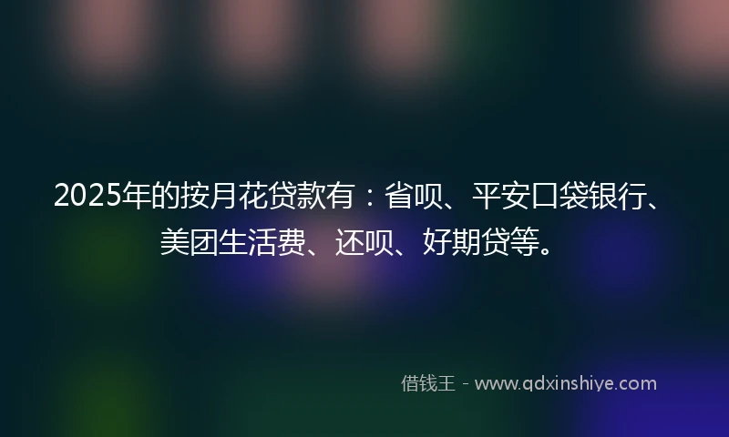 2025年的按月花贷款有：省呗、平安口袋银行、美团生活费、还呗、好期贷等。