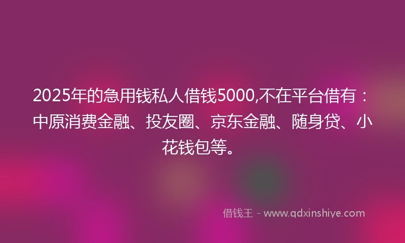 2025年的急用钱私人借钱5000,不在平台借有：中原消费金融、投友圈、京东金融、随身贷、小花钱包等。
