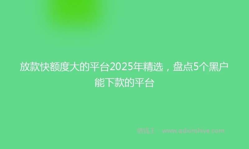 放款快额度大的平台2025年精选，盘点5个黑户能下款的平台