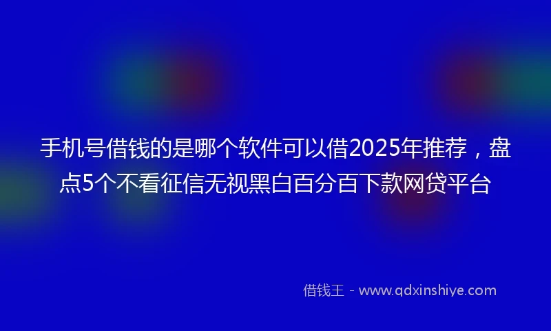手机号借钱的是哪个软件可以借2025年推荐，盘点5个不看征信无视黑白百分百下款网贷平台