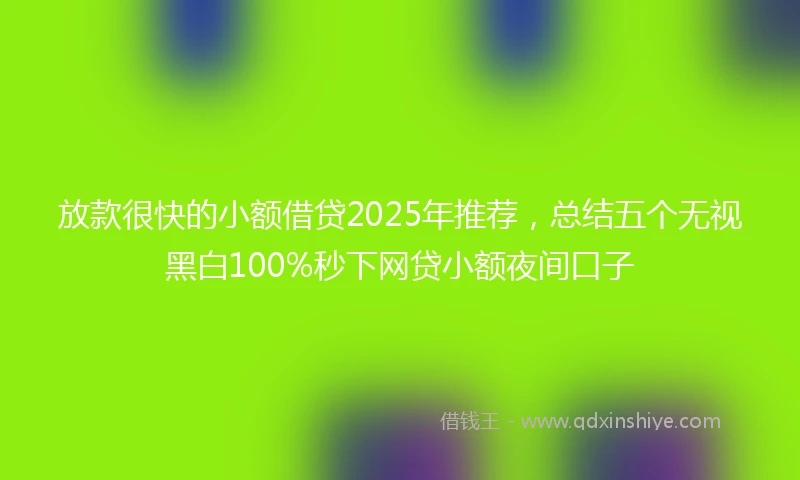 放款很快的小额借贷2025年推荐，总结五个无视黑白100%秒下网贷小额夜间口子