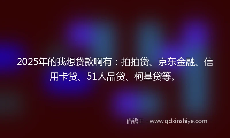 2025年的我想贷款啊有：拍拍贷、京东金融、信用卡贷、51人品贷、柯基贷等。