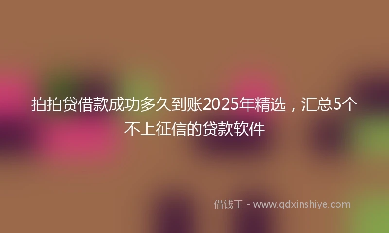 拍拍贷借款成功多久到账2025年精选，汇总5个不上征信的贷款软件