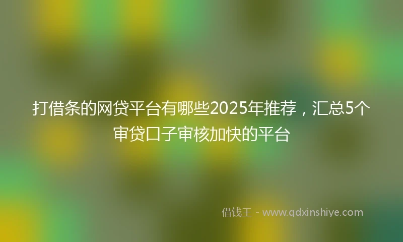 打借条的网贷平台有哪些2025年推荐，汇总5个审贷口子审核加快的平台