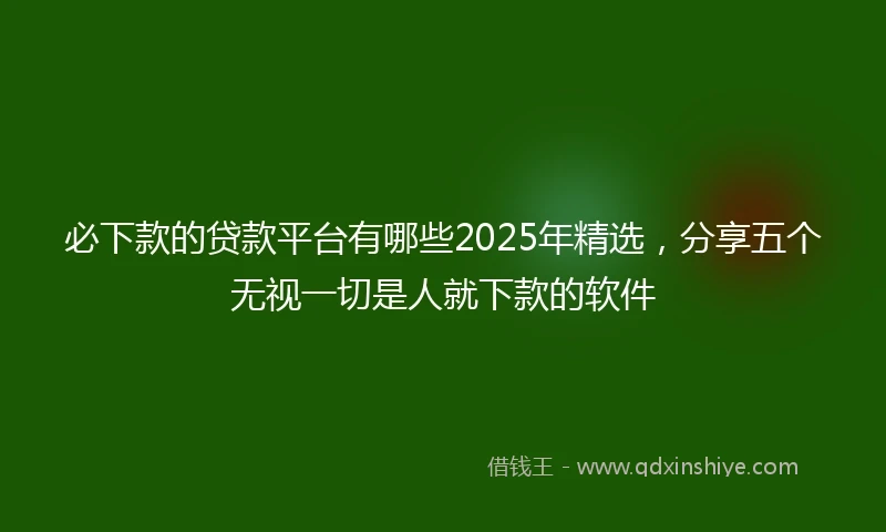 必下款的贷款平台有哪些2025年精选，分享五个无视一切是人就下款的软件