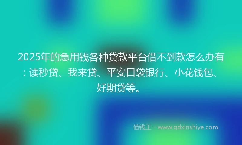 2025年的急用钱各种贷款平台借不到款怎么办有:读秒贷、我来贷、平安口袋银行、小花钱包、好期贷等。