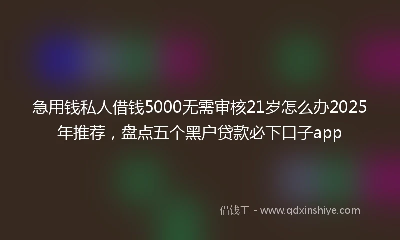 急用钱私人借钱5000无需审核21岁怎么办2025年推荐，盘点五个黑户贷款必下口子app