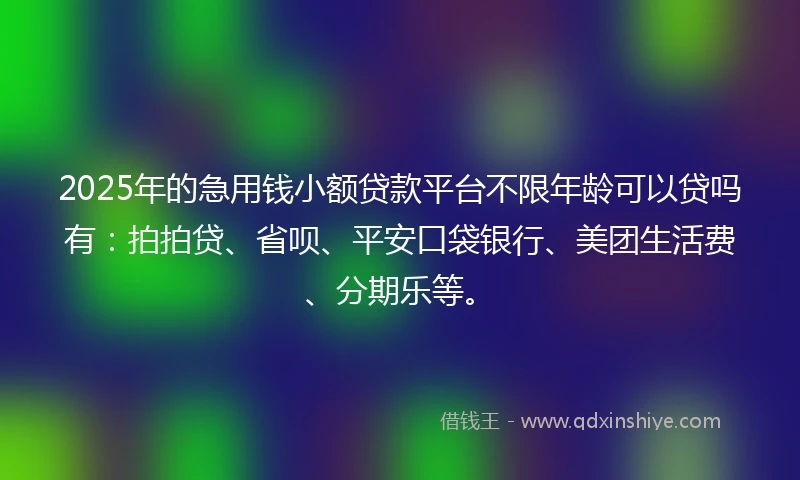2025年的急用钱小额贷款平台不限年龄可以贷吗有：拍拍贷、省呗、平安口袋银行、美团生活费、分期乐等。