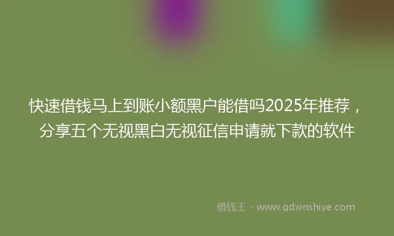 快速借钱马上到账小额黑户能借吗2025年推荐，分享五个无视黑白无视征信申请就下款的软件