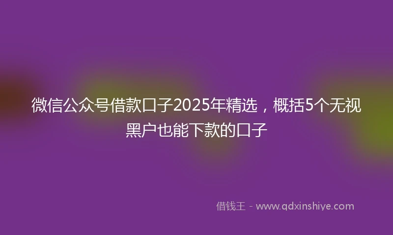 微信公众号借款口子2025年精选，概括5个无视黑户也能下款的口子