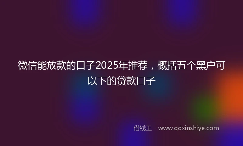 微信能放款的口子2025年推荐，概括五个黑户可以下的贷款口子