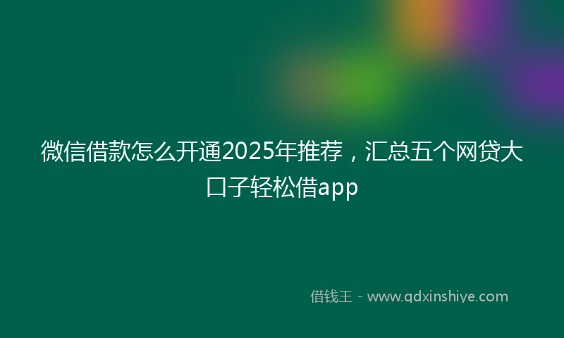 微信借款怎么开通2025年推荐，汇总五个网贷大口子轻松借app