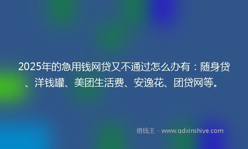 2025年的急用钱网贷又不通过怎么办有：随身贷、洋钱罐、美团生活费、安逸花、团贷网等。